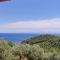 Elia house 1 astoning sea view among the olive trees - Patitiri