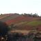 Casa intera tra le colline e le vigne del Dolcetto