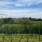 Casa intera tra le colline e le vigne del Dolcetto