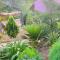 Eco House