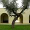 Masseria San Polo