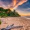 Oasis Bluff Beach
