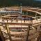 Holiday home in Dolce u Trutnova 2310