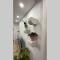 Luxury APARTMAN BILI