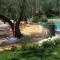 Apartments in Malcesine/Gardasee 22034 - 马尔切西内