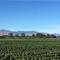 Vineyard Cottage in Blenheim on the Golden Mile