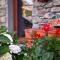 La Volta - Lake Como Heritage Home in Molino Maufet Watermill - Patio on the garden