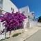 Maslenica-Bougainvillea