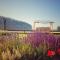 Trapani glamping camp