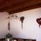 La Codarda country house - Pescosolido