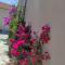 Apartments Iva