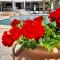 Armonia Hotel by Zante Plaza