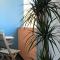 Puertito Beach Suites