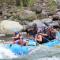 Hostal y cabinas anita-and rafting tour! - Siquirres