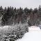 Apartmán JaFi Lipno nad Vltavou