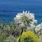 Ikaria village-ground floor apartment No 4
