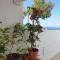 Ikaria village-ground floor apartment No 4