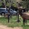 Estes Lake Lodge