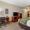 Comfort Inn & Suites Lenoir Hwy 321 Northern Foothills