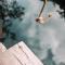 Uman Glamping & Cenote Tulum