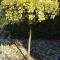 Cosy Garden familie chalet tot 4 personen op de Veluwe Bungalowpark De Kern - All inclusive