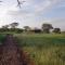 Serengeti Sound of Silence - Parque Nacional Serengeti