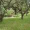 Beachfront Apartment 4526-2