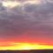 The View
