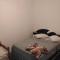 Wallys House Hostel