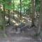 Camping Pivka Jama Postojna