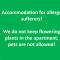 Smart Business Apartman