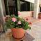Holiday house Ljubica Tisno