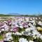 Dolphin Inn Guesthouse - Blouberg