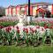 Dreamz Inn - Goderich
