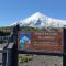 Cabaña Bosques de Cudico - Villarrica