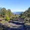 Cabaña Bosques de Cudico - Villarrica