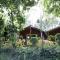 Coorg amodhini