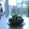 Lakis Luxury Apartment