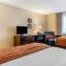 Comfort Inn Williamsport