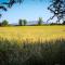 5* Self Catering