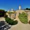 Masseria Trulli e Vigne - 马丁纳弗兰卡