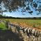 Masseria Trulli e Vigne