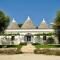 Masseria Trulli e Vigne - 马丁纳弗兰卡