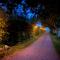 Gladeholm
