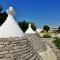 Masseria Trulli e Vigne - 马丁纳弗兰卡