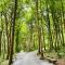 Cedar Lodge Self Catering Accommodation H91 CF9D
