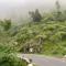 Icebergs Mussoorie - A Boutique stay and 24 hrs roof top cafe