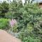 Clarens Mountain Sage Holiday House