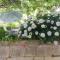 Apartman Marin - Viganj