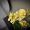 Topper's Rooms Guest Accommodation - كاريك اُن شانون